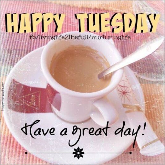 Happy Tuesday
