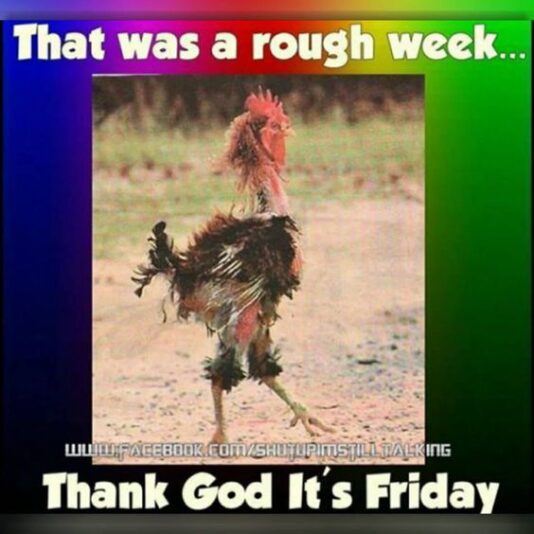 chicken and rough wek friday tgif