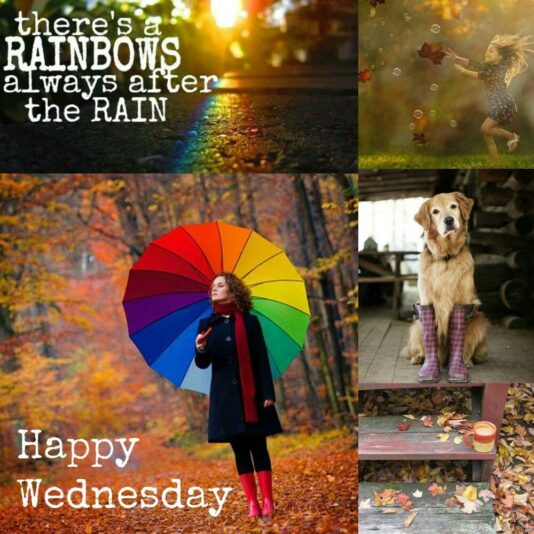 Happy Wednesday rain collage