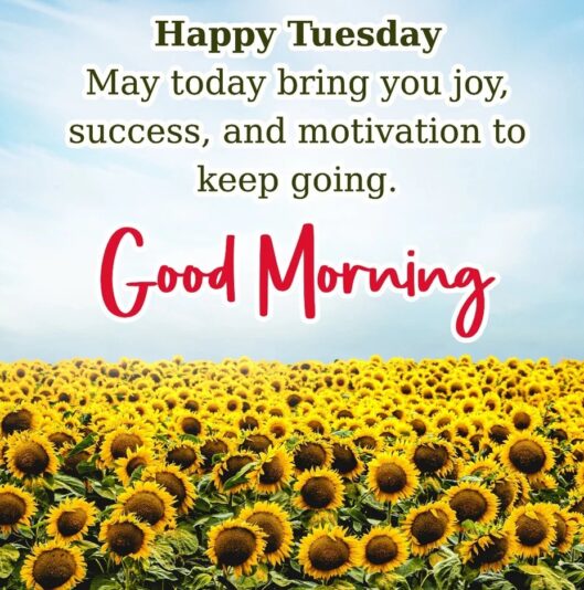 Happy Tuesday sunflowers