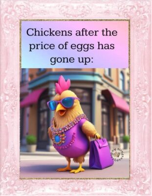 fun group price eggs gone up