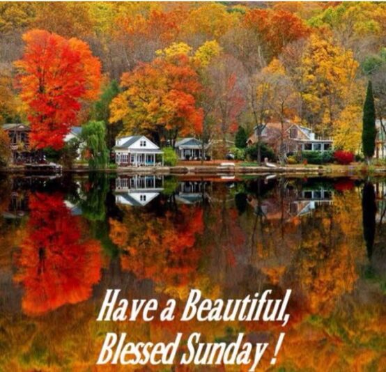 Happy Sunday have a blessed day fall