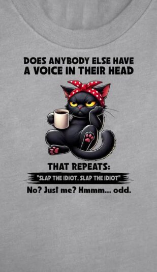 slap the idiot