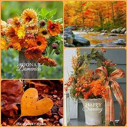 Happy Sunday Fall 2