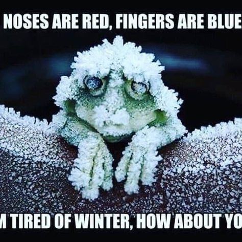 noses red fingers