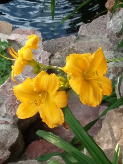 20190725_071056