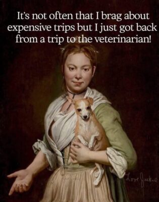 vet trip