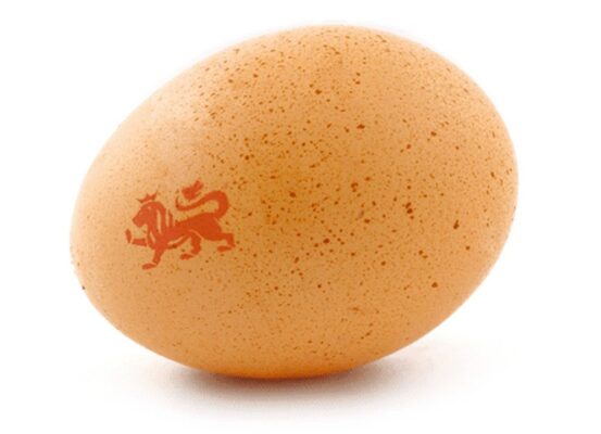 nostalgia Lion on an egg