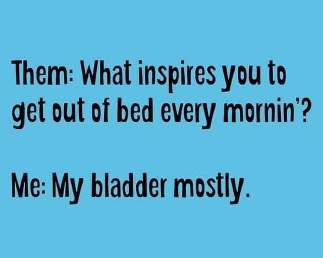 bladder