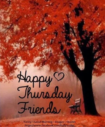 Happy Thursday friends fall