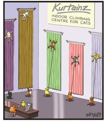 joke 2026 cats curtain