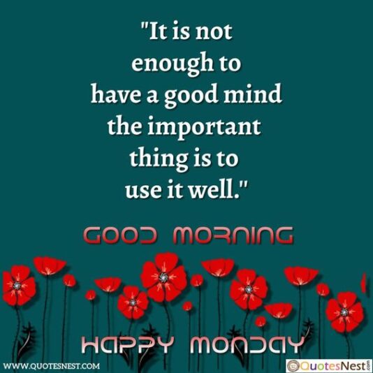 monday use mind well