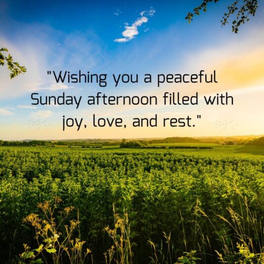 Good Sunday Afternoon