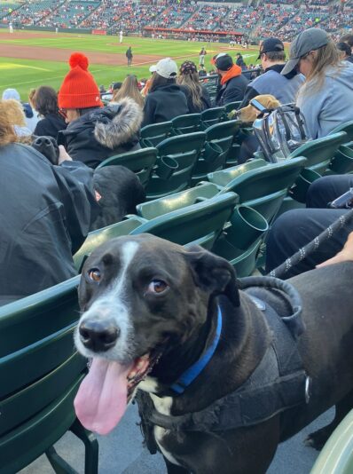 Steve at Camden Yards in his seat