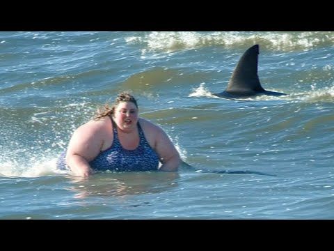 caption group woman and shark