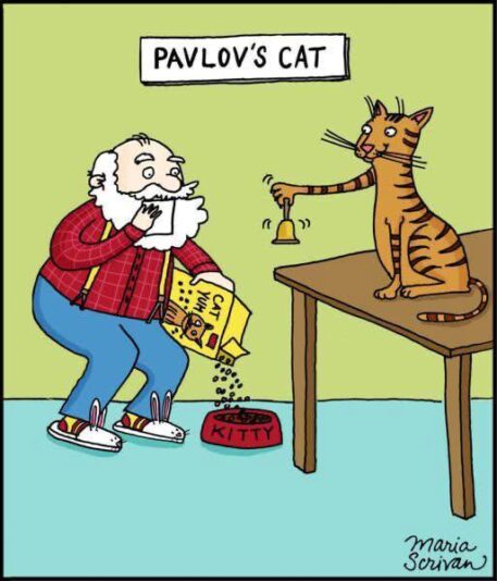 pavlov's cat