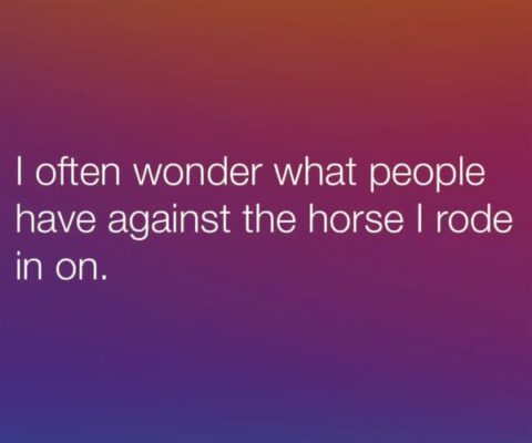 Fu and the horse
