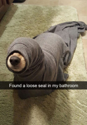 tumblr_og9ad0J7881sknyuxo5_540