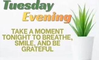 Tuesday Evening 1