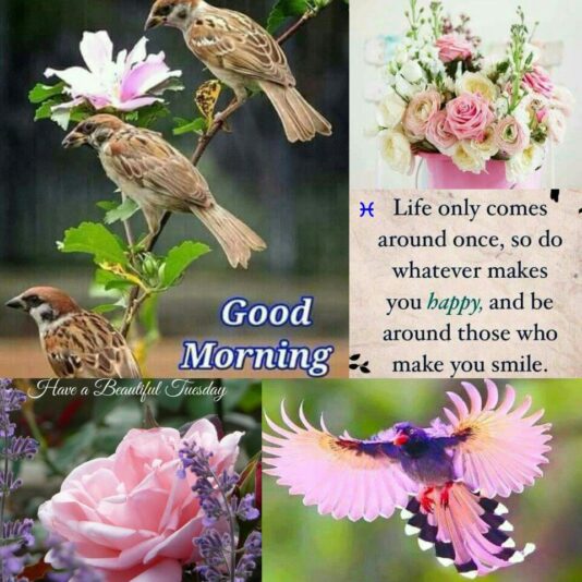 Good Morning Tuesday collage