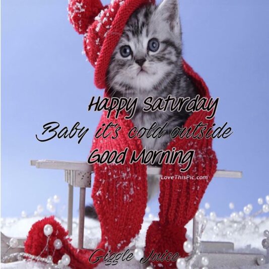 Happy Saturday it cold outside