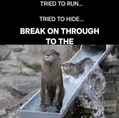 otter slide