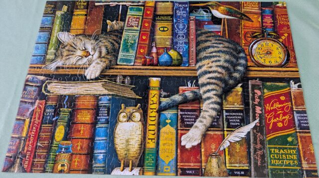 300 piece puzzle
