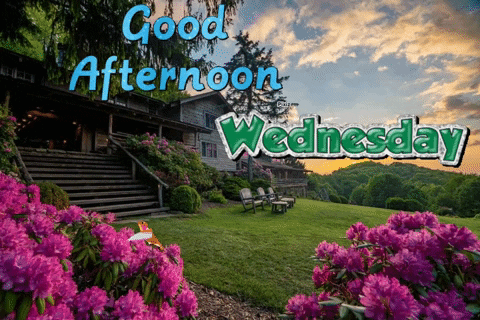 wednesday-afternoon