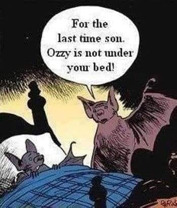 Ozzy vs bat