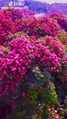 559F0BEB-6648-49DA-BB92-9B22819EE20E