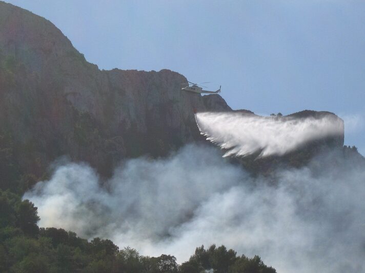 Local Forest Fires (56)