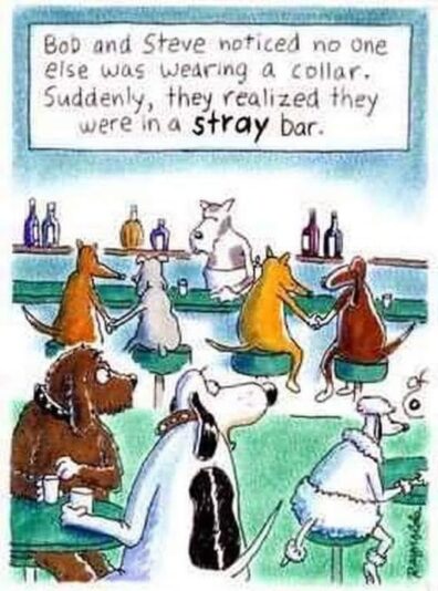 stray bar
