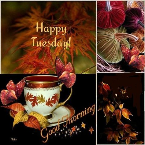 Happy Tuesday Fall 2