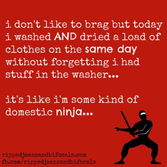 tuesday Laundry-Ninja-1024x1024
