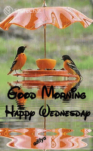 Good Morning Rainy Wednesday