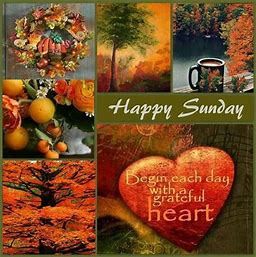 Happy Sunday fall
