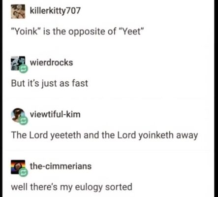 yeetyoink6_n