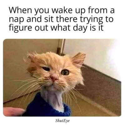 ShutEye-wake-up-memes15-1-1024x1024-1298705252