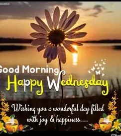 Good Morning Wednesday