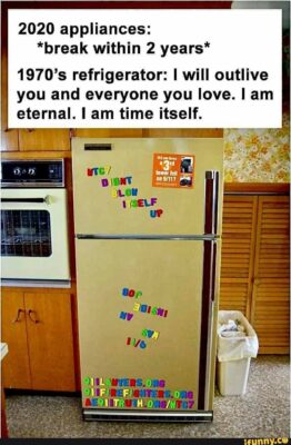 fridge 2