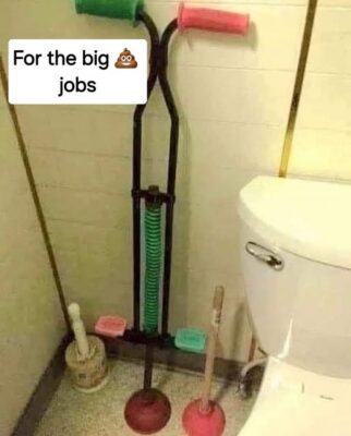 pogo plunger