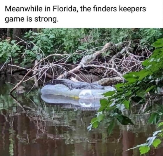 gator finders keepers