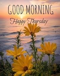 Good Morning Thursday Black Eyed Susan