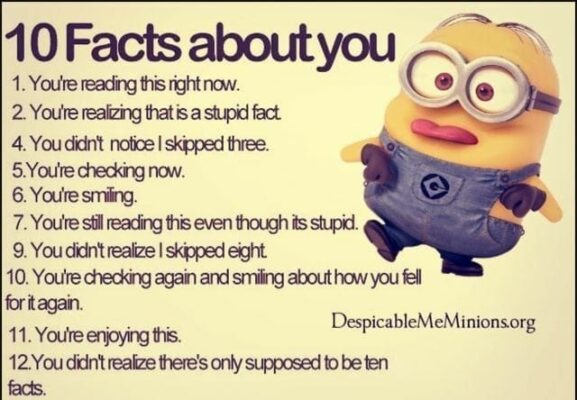10 fun facts