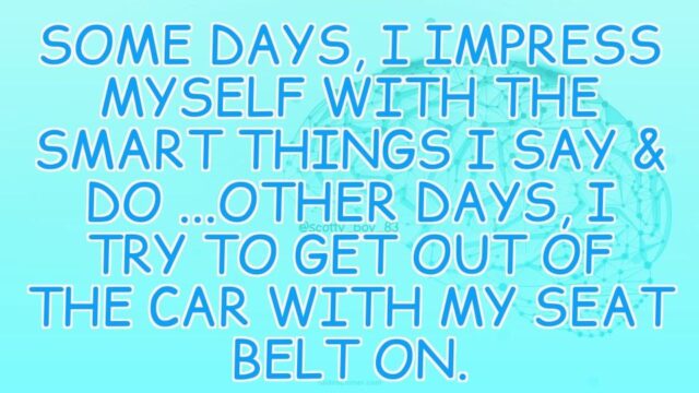 seatbelt