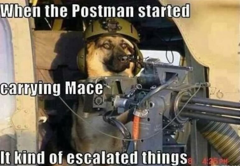 postman03536_n