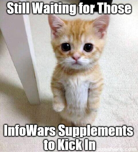 cat buyerbeware