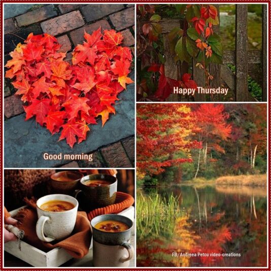Happy Thursday Fall 2