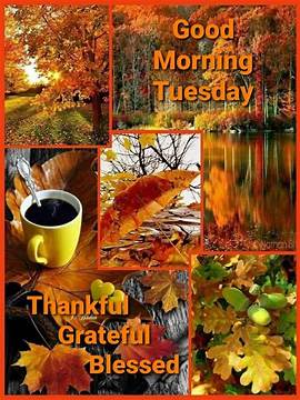 Good Morning Tuesday collage