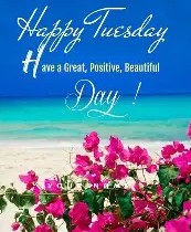 Happy Tuesday 1